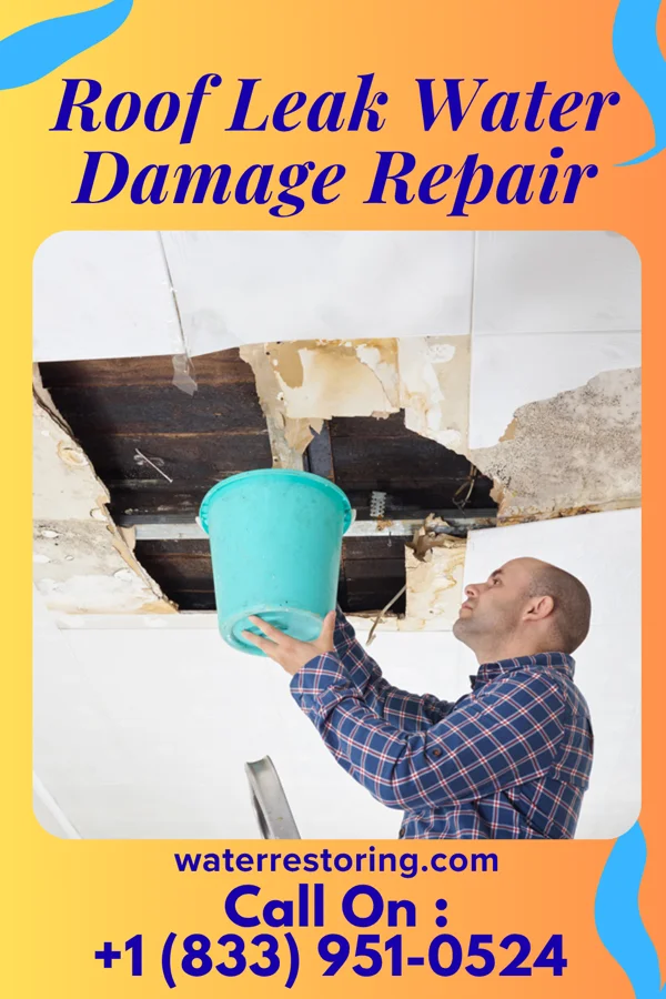 Roof Leak Water Damage Repair in Clarksville, IN