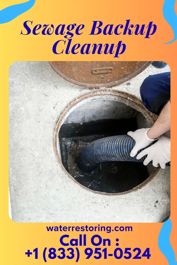 Sewage Backup Cleanup in Clarksville, IN
