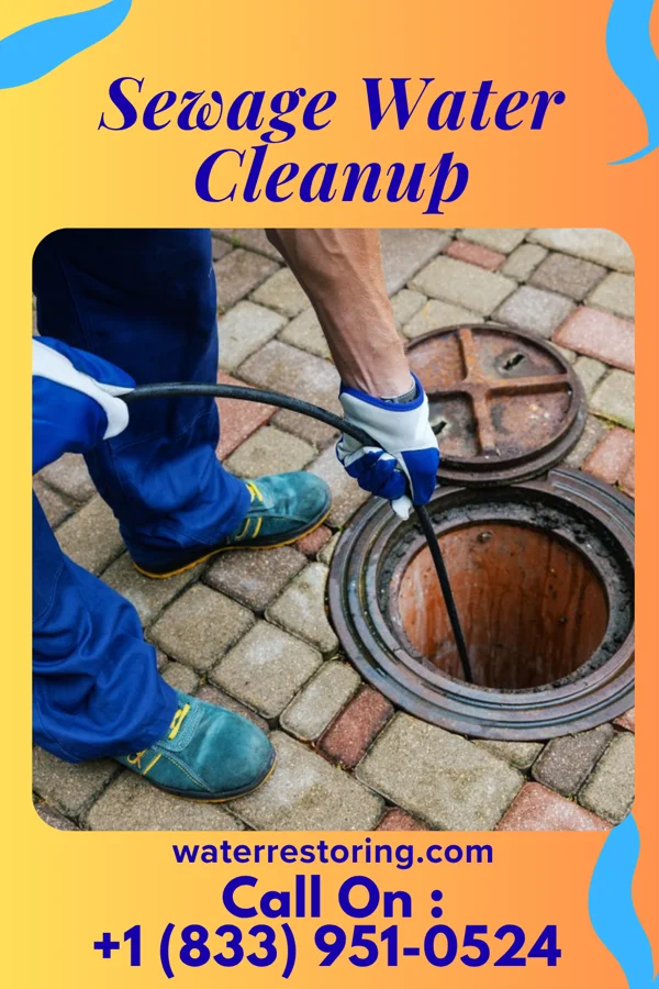 Sewage Water Cleanup in Clarksville, IN