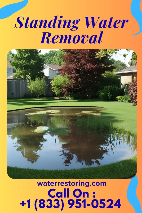 Standing Water Removal in Clarksville, IN